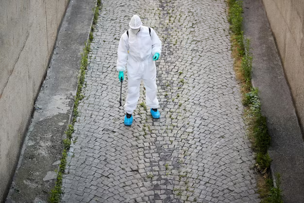 pest control vero beach pest control vero beach residents prefer