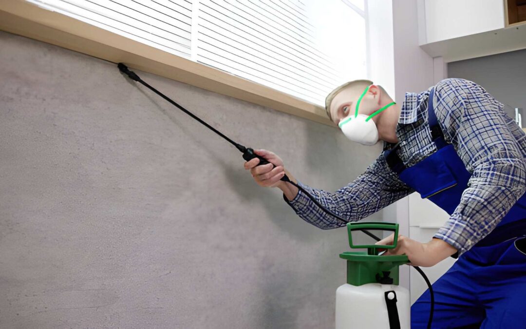 Safeguard Your Home With Martin County Pest Control Experts