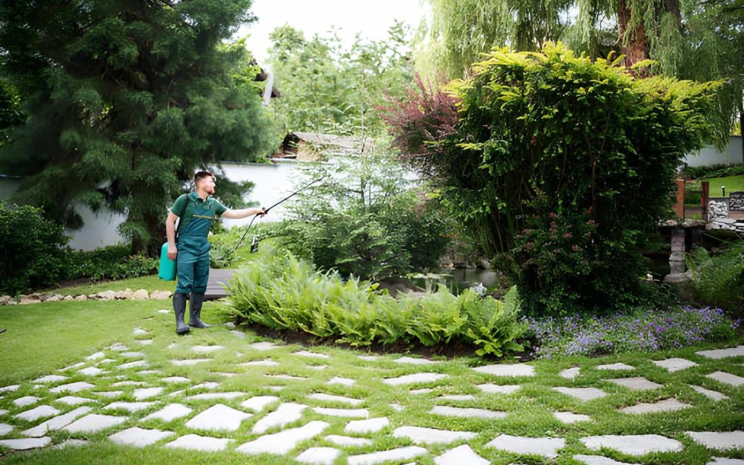 Do Martin County Pest Control Companies Offer Long-Term Solutions?