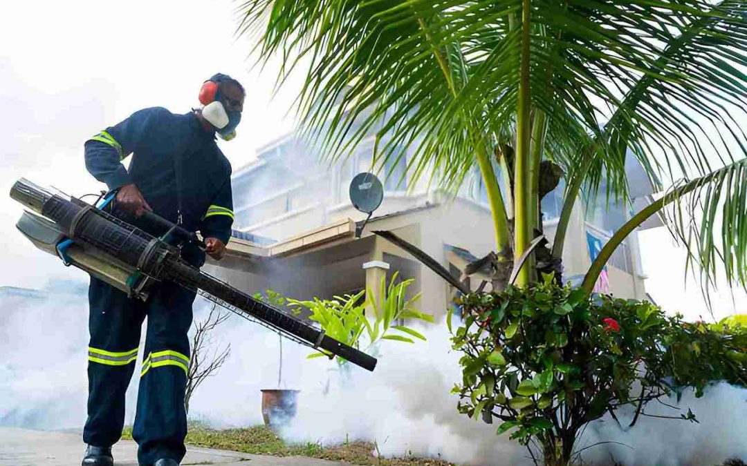 How Does Coastal Pest Control of the Treasure Coast Deliver Peace of Mind to Homeowners?