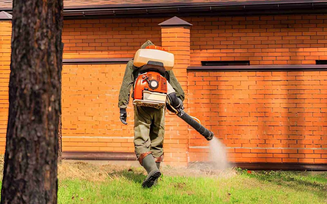 Is Pest Control Hobe Sound FL the Key to Preventing Termite Damage?