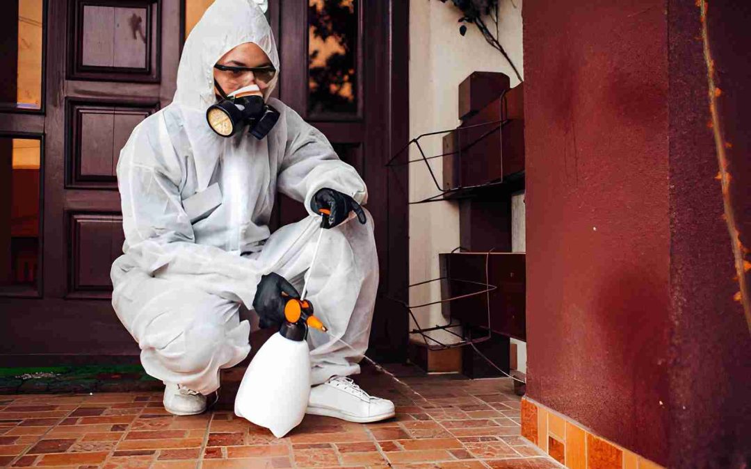 Why Should Residents Invest in Preventive Pest Control Palm City Services?