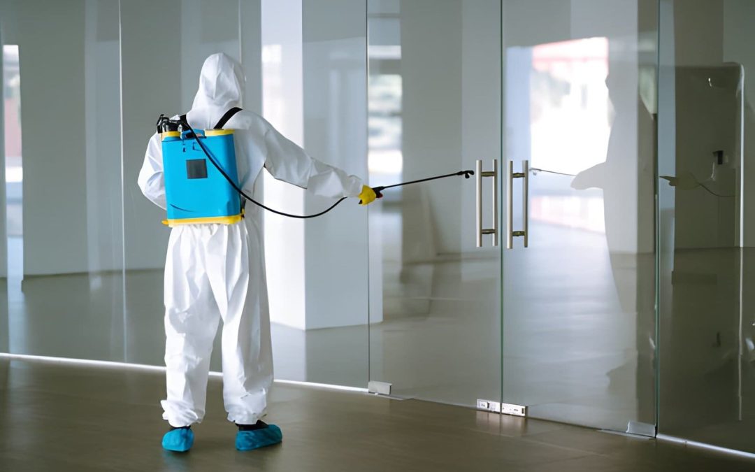 Which Commercial Pest Control Fort Pierce FL Solutions Work Best for Warehouses