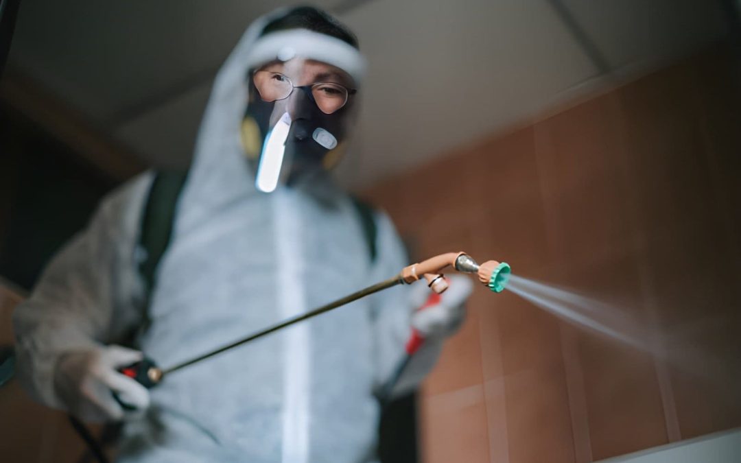 Which Treasure Coast Pest Control Methods Work Best for Termites?