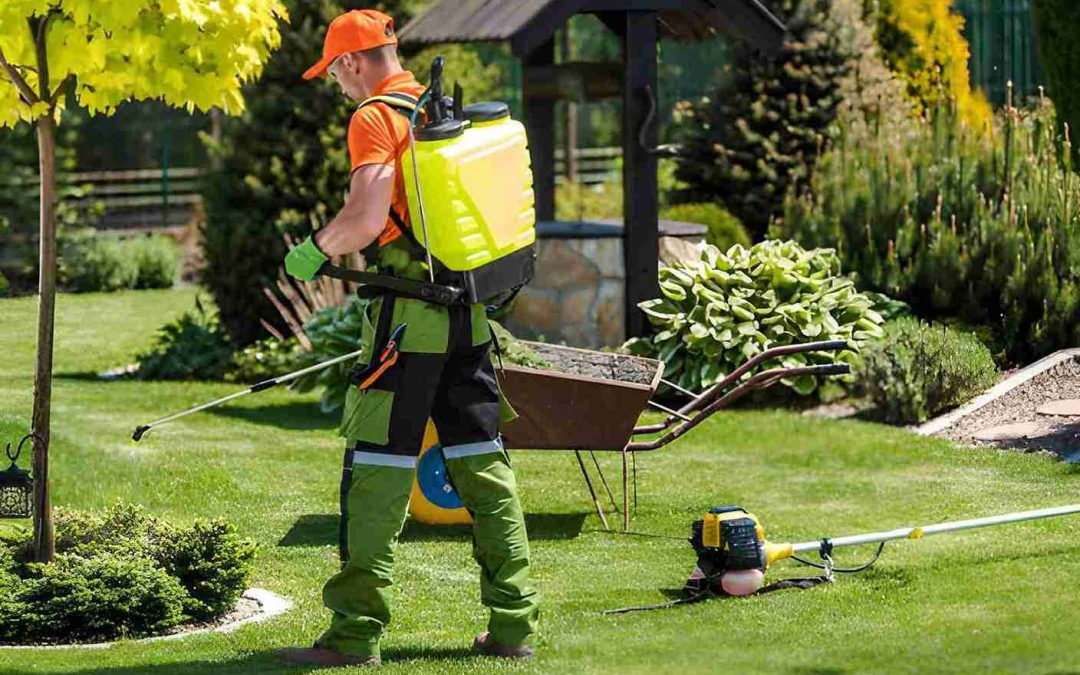 Who Benefits Most From Regular Lawn Spraying Port St Lucie?
