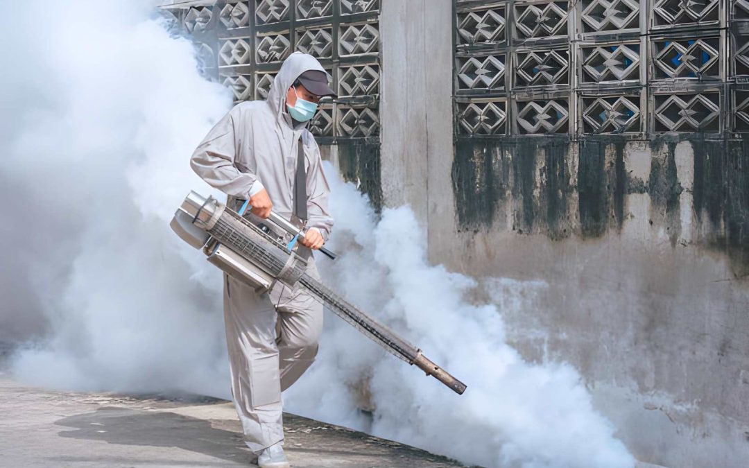 How Can Mosquito Control Services in Stuart Reduce Risks for Children Outdoors?