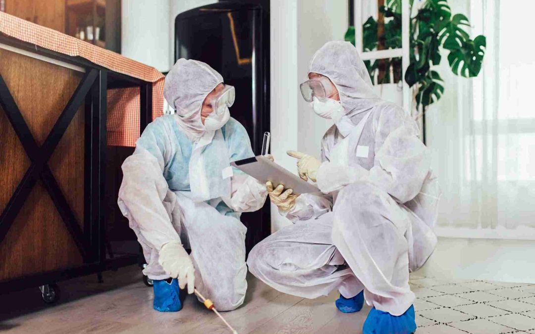 Can Pest Control Hobe Sound FL Services Guarantee Safer Living Conditions?
