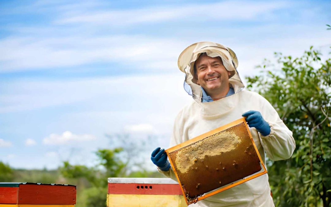 Can Pest Control Hobe Sound FL Services Guarantee Safer Living Conditions? – Copy
